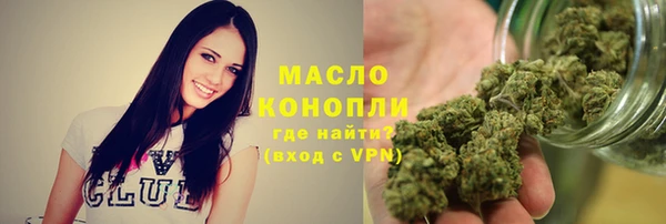 мдпв Осташков
