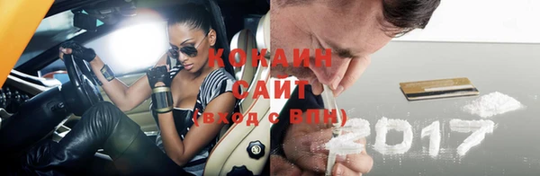 мдпв Пестово