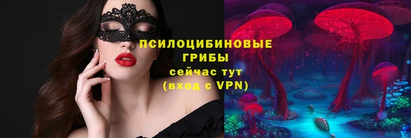 мдпв Пестово