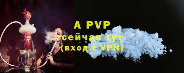 бошки Пересвет