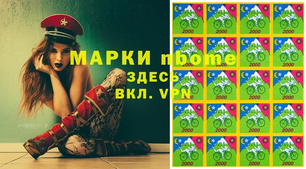 мдпв Осташков
