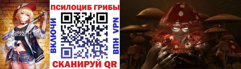 mega ссылки  Киселёвск  Псилоцибиновые грибы мухоморы  сколько стоит 
